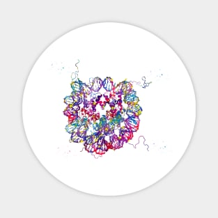 DNA Crystal Structure Magnet